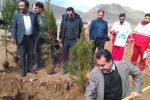 آئين گراميداشت هفته درختکاری با حضور کارکنان کارخانه سیمان خاکستری شهرستان نی‌ریز