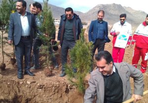 آئين گراميداشت هفته درختکاری با حضور کارکنان کارخانه سیمان خاکستری شهرستان نی‌ریز